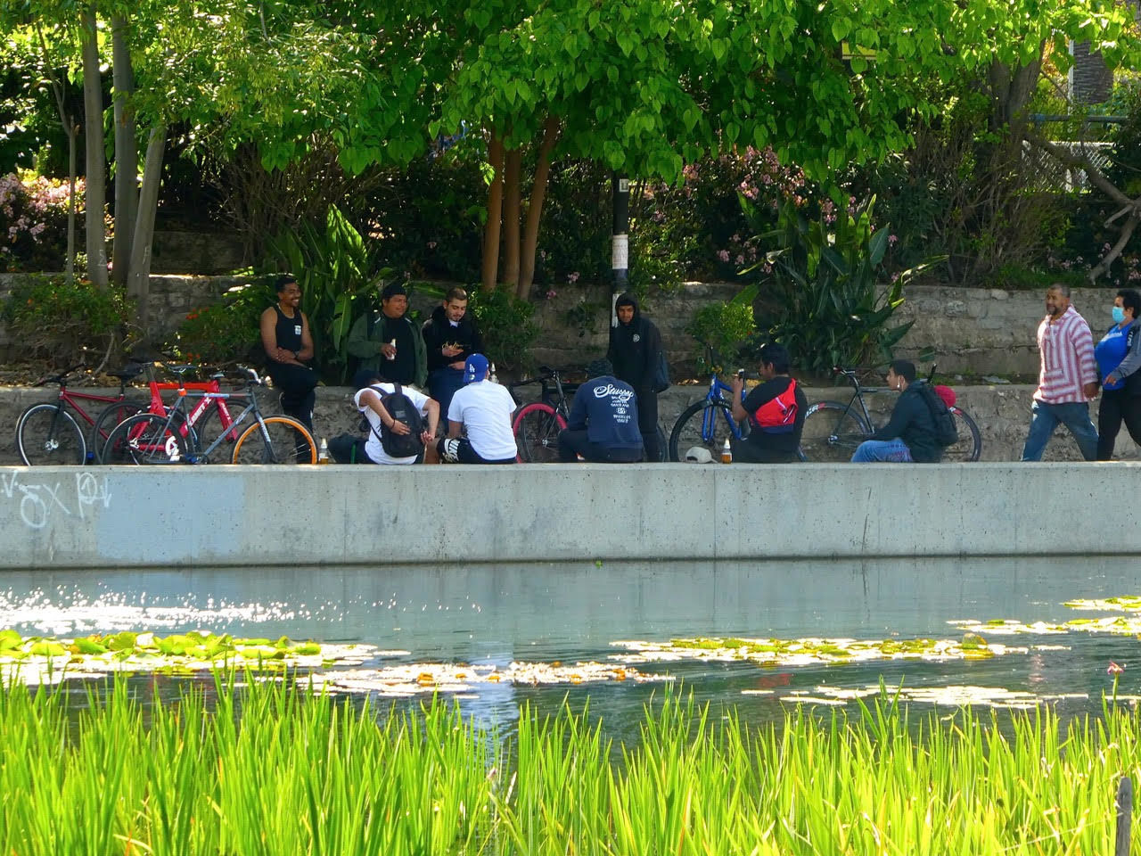 guys hanging out at echo park lake sandy driscoll.jpg